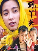 大陆电视剧《野丫头》在线免费观看全集完整版