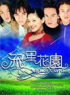 《流星花园2001》电视剧全集在线观看